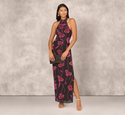 Modanook.shop60480728dc 2
