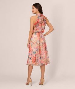 Modanook.shop91a9207316 5